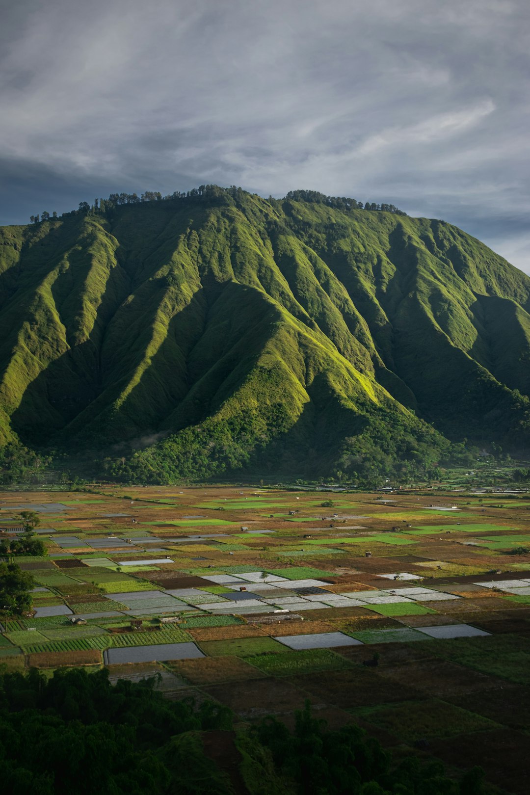 Top view of sunrise at Bukit Selong, Lombok island, Indonesia. Mar/23.